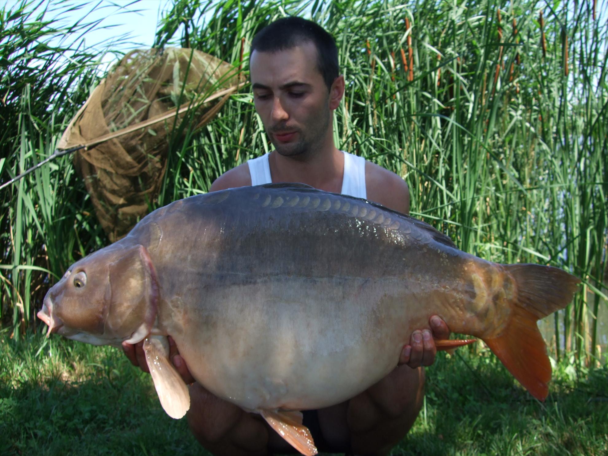 Nagykallo 2012 - 220.JPG